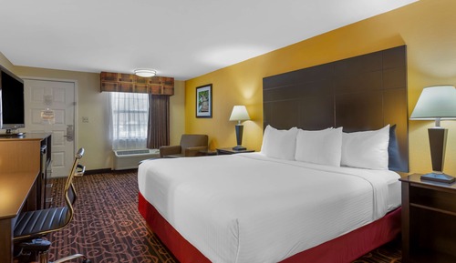 Standard Room, 1 King Bed, Non Smoking, Refrigerator & Microwave