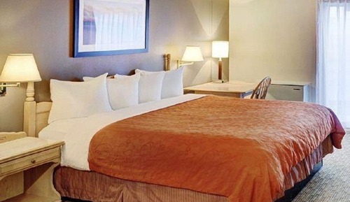 Standard Single Room, 1 King Bed