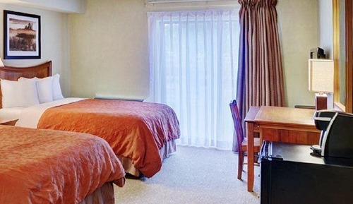 Standard Room, 2 Double Beds