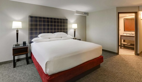 Deluxe Room, 1 King Bed, Refrigerator & Microwave (Oversized Room)