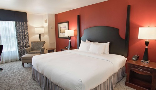 Room, 1 King Bed, Non Smoking