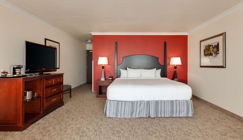 Junior Suite, 1 King Bed, Non Smoking
