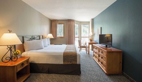 Basic Room, 1 King Bed, Mountain View