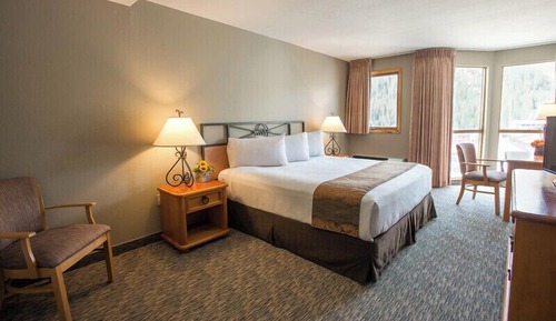 Basic Room, 1 King Bed, Shower Grab Bars