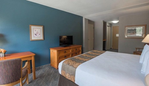 Basic Room, 1 King Bed