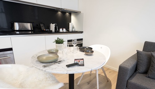Penthouse Studio, Kitchen