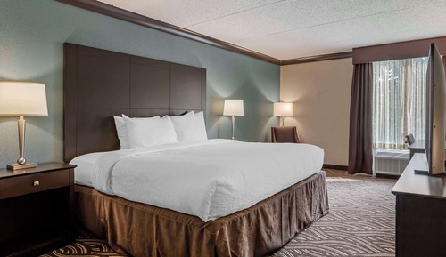 Suite, 1 King Bed, Non Smoking, Refrigerator & Microwave (with Sofabed)