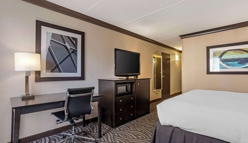 Standard Room, 1 King Bed, Refrigerator & Microwave, Courtyard Area (with Sofabed)