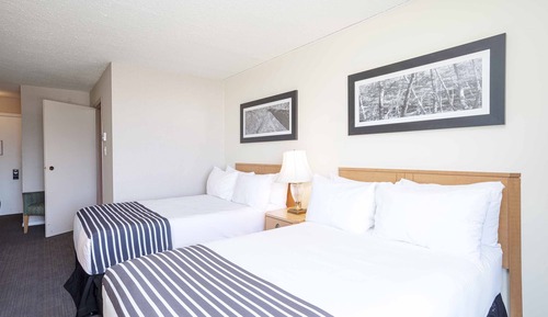 Standard Suite, 2 Double Beds, Kitchenette