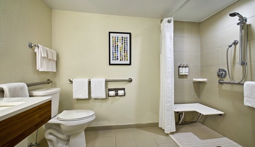 Standard Room, 1 King Bed, Roll-in Shower (Communications Accessible)