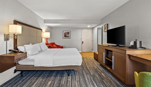 Room, 1 King Bed, Non Smoking