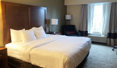 Deluxe Room, 1 King Bed, Non Smoking