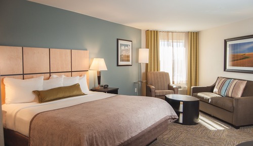Studio Suite, 1 King Bed with Sofa bed