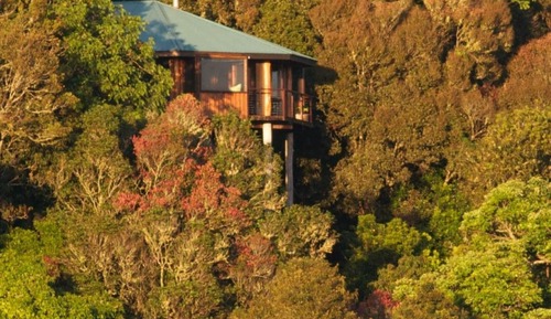 2 Nights Treehouse