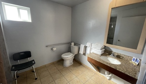 Economy Single Room, 1 King Bed, Accessible