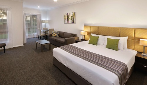 Standard Room, 1 King Bed, Non Smoking, Park View (Larger Room)