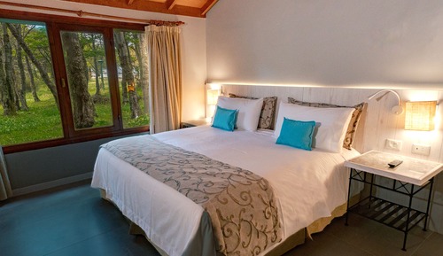 Triple Standard Forest View