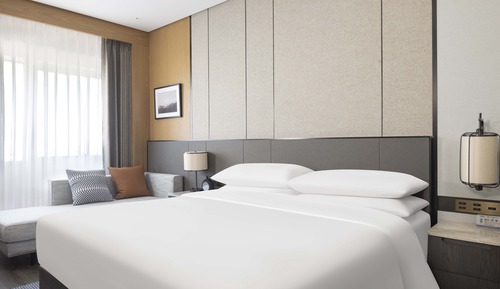 Room, 1 King Bed, Mountain View