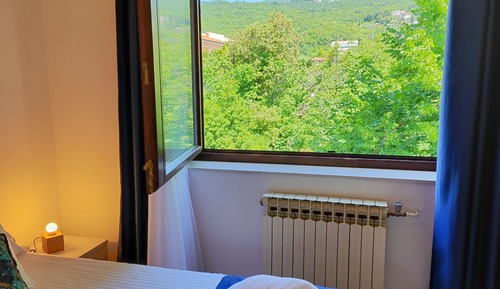 Luxury Apartment