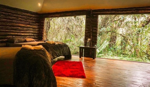 Panoramic Cabin