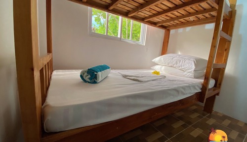 S5B, Basic Shared Dormitory, Mixed Dorm, Non Smoking, Garden View