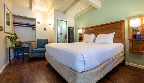 Standard Single Room, 1 King Bed