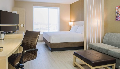 Room, 1 King Bed, Accessible (Shower)