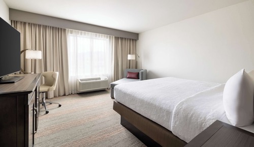 Room, 1 King Bed, Non Smoking, Refrigerator