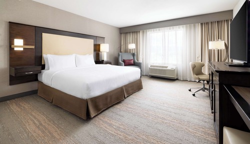 Room, 1 King Bed, Accessible, Non Smoking