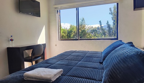 Executive Single Room