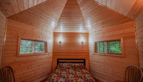 Yurt in the woods (Shared shower, Pet Friendly)