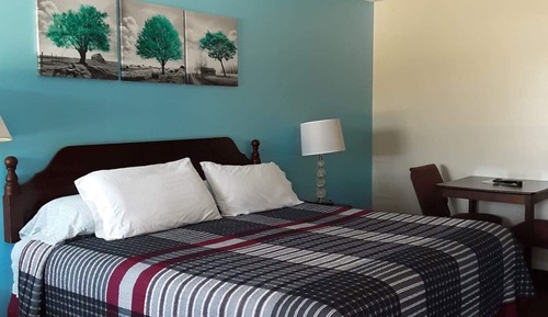 Room, 1 King Bed