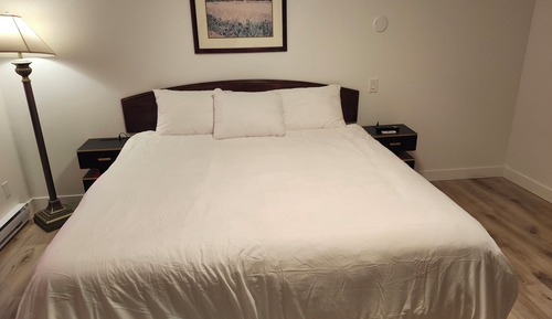 Room, 1 Queen Bed