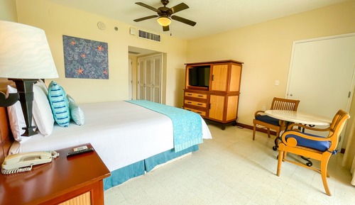 Superior Room, 1 King Bed