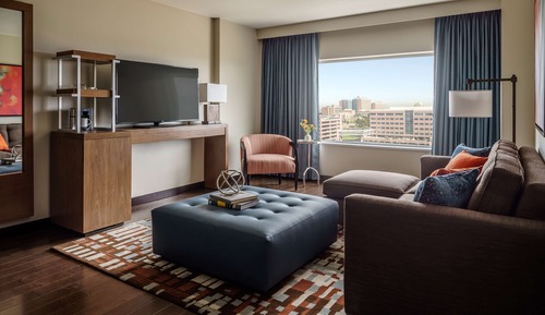 Room, 1 King Bed with Sofa bed, Accessible (Shower)