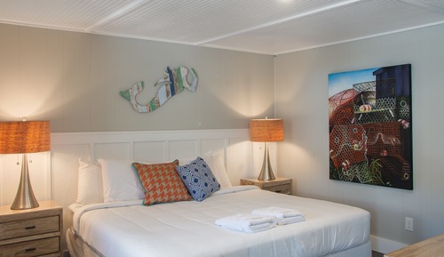 Single Room, 1 King Bed