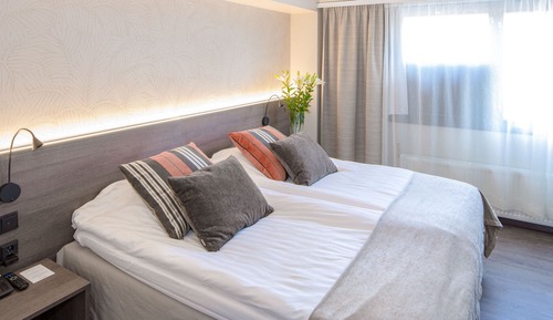 Family Room, 1 King Bed with Sofa bed