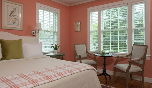 Room, 1 King Bed