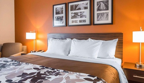 Standard Room, 1 King Bed, Non Smoking