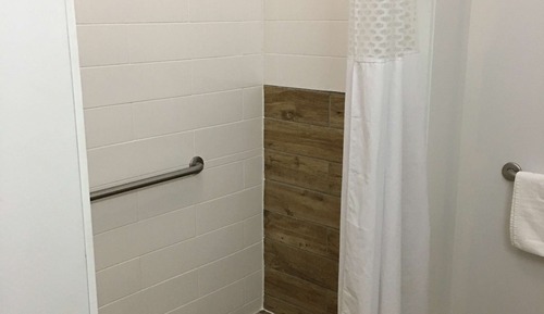 Room, 1 King Bed, Accessible, Non Smoking (mob/hearing acc w/ roll-in shower)