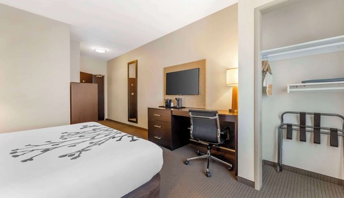 Room, 1 King Bed, Hearing Accessible, Non Smoking