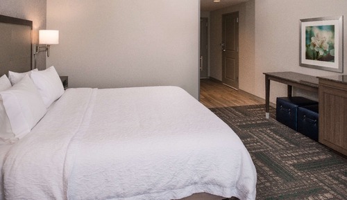 Room, 1 King Bed, Accessible, Non Smoking (Roll In Shower)