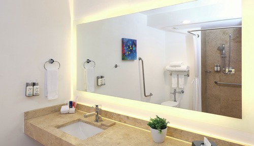 Standard Room, 1 King Bed, Accessible