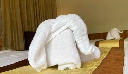 Deluxe Twin Room, 1 Bedroom, Balcony, Garden View