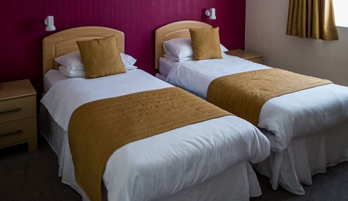 Basic Twin Room