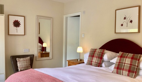 Standard Double Room, 1 King Bed