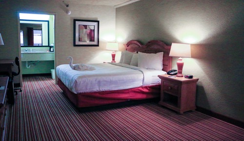 Superior Room, 1 King Bed, Non Smoking