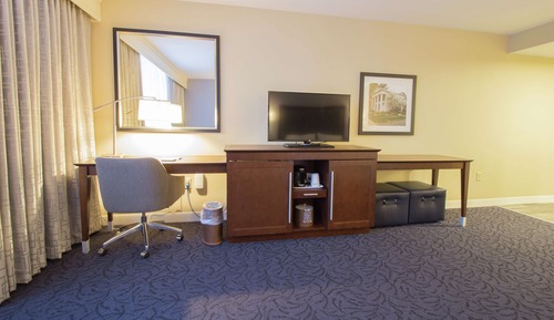 Room, 1 King Bed, Non Smoking, Refrigerator
