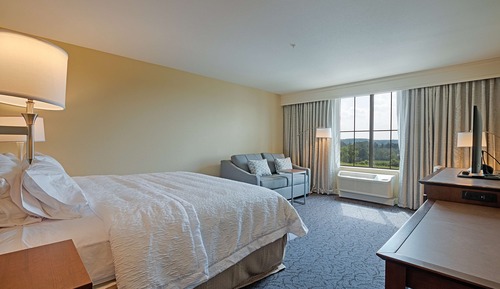 Room, 1 King Bed with Sofa bed, Non Smoking, Refrigerator