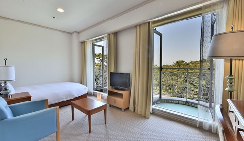 Single Room, Non Smoking, Mountain View